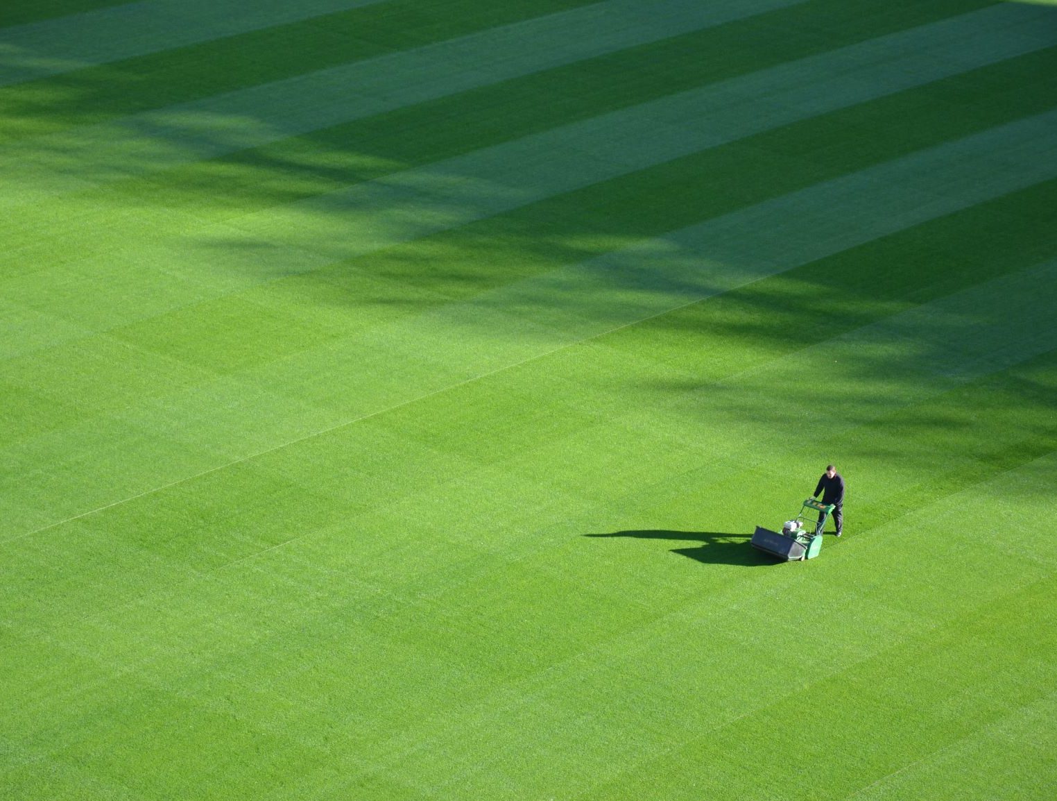 Man mowing a vast lawn